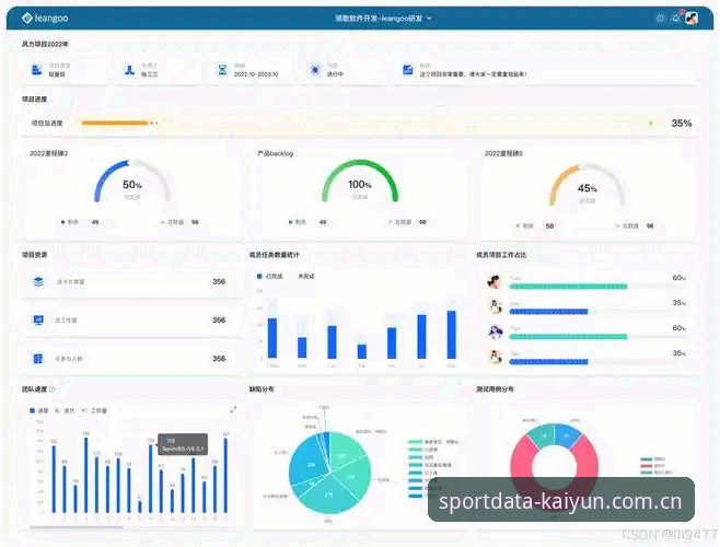 开云最新版本v2.9.2实战详解：体育数据工具如何提升决策效率